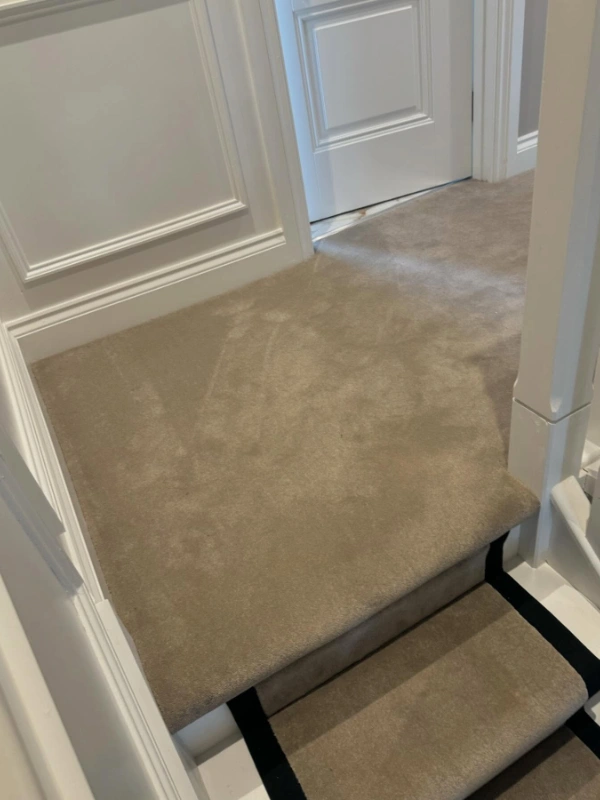 carpets1