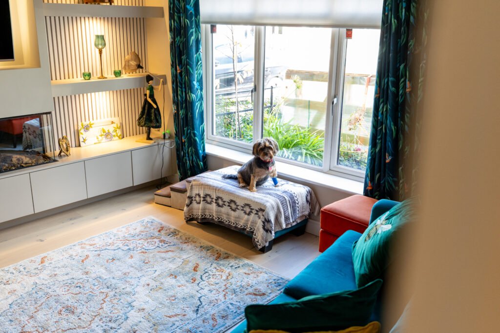 Modern living room with light wooden flooring, blue area rug, teal sofa, dog on daybed by window - royalflooringcompany.ie